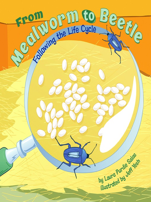 Title details for From Mealworm to Beetle by Laura Purdie Salas - Available